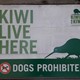 Kiwi Lives Here