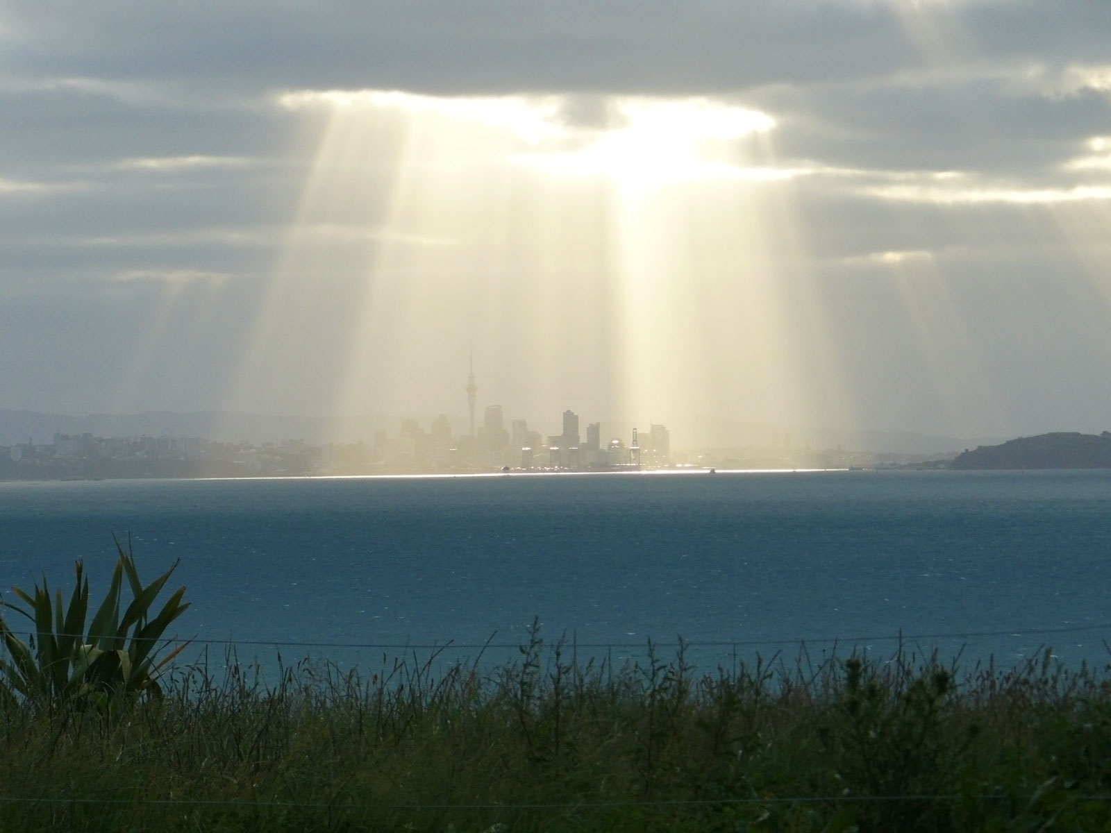 November 2020 Newsletter