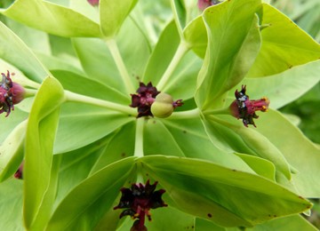 blog single image