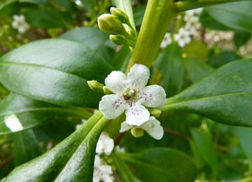 blog single image