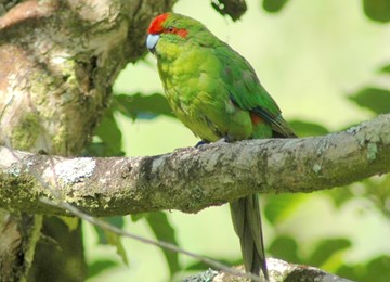 blog single image
