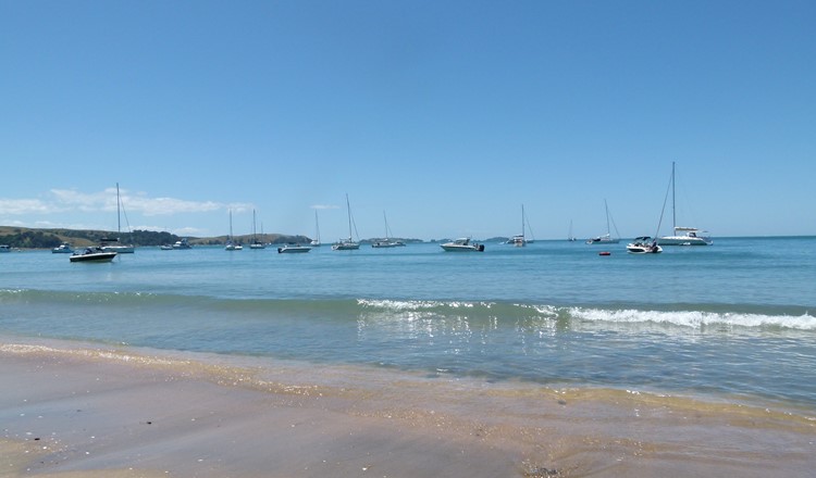 January 2024 Newsletter