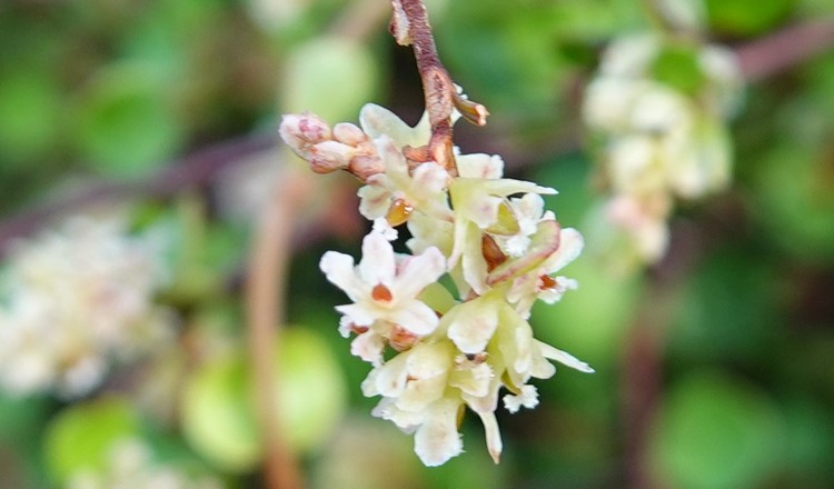 March 2024 Newsletter