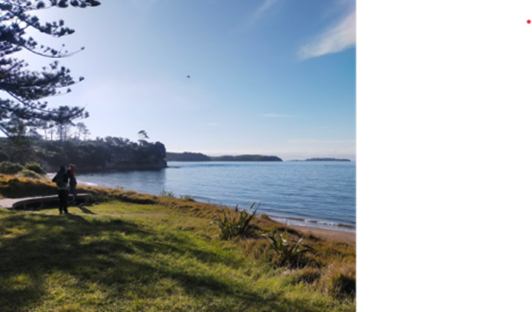 June 2024 Newsletter