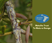 April 2025 Newsletter