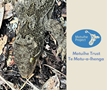 June 2025 Newsletter