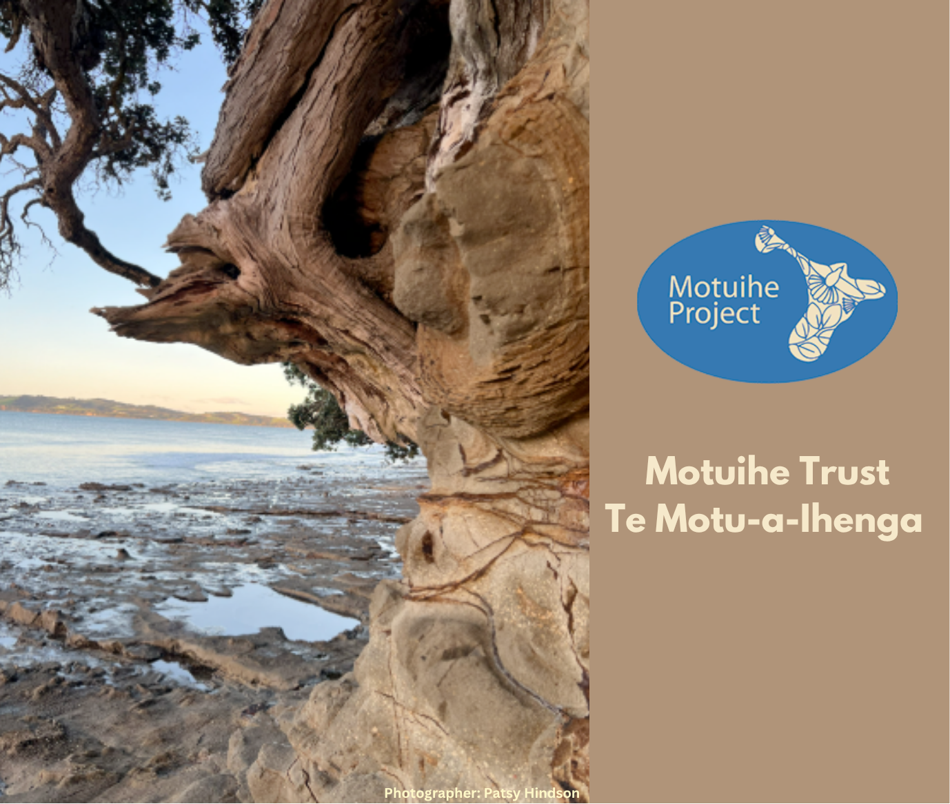 September 2025 Newsletter