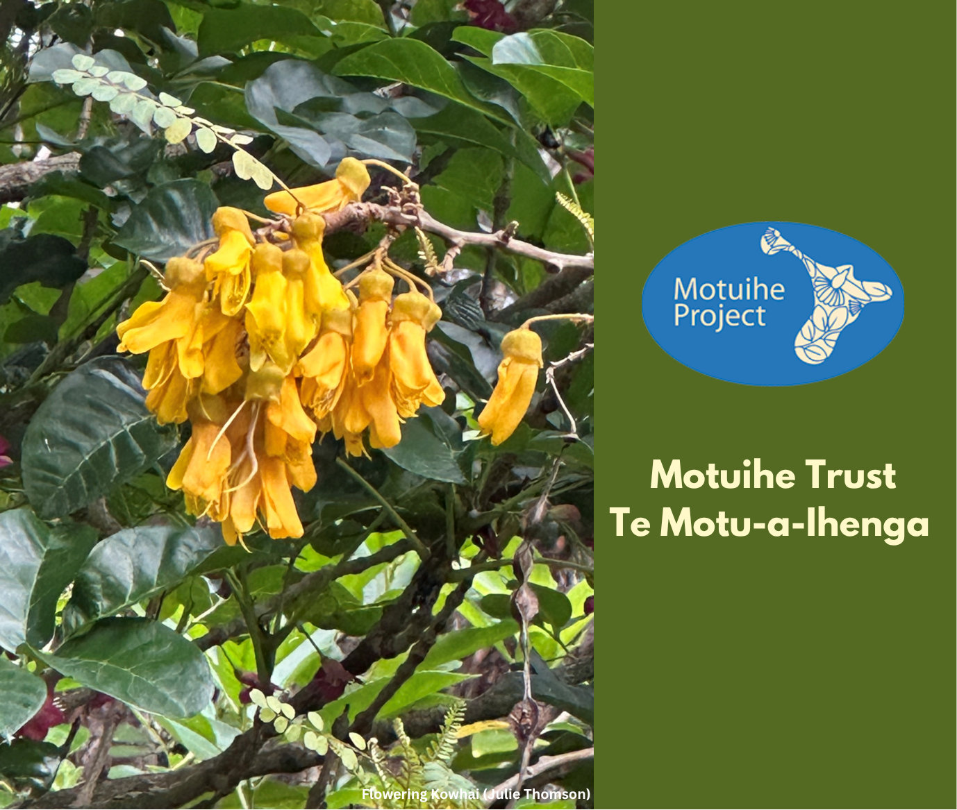 October 2025 Newsletter