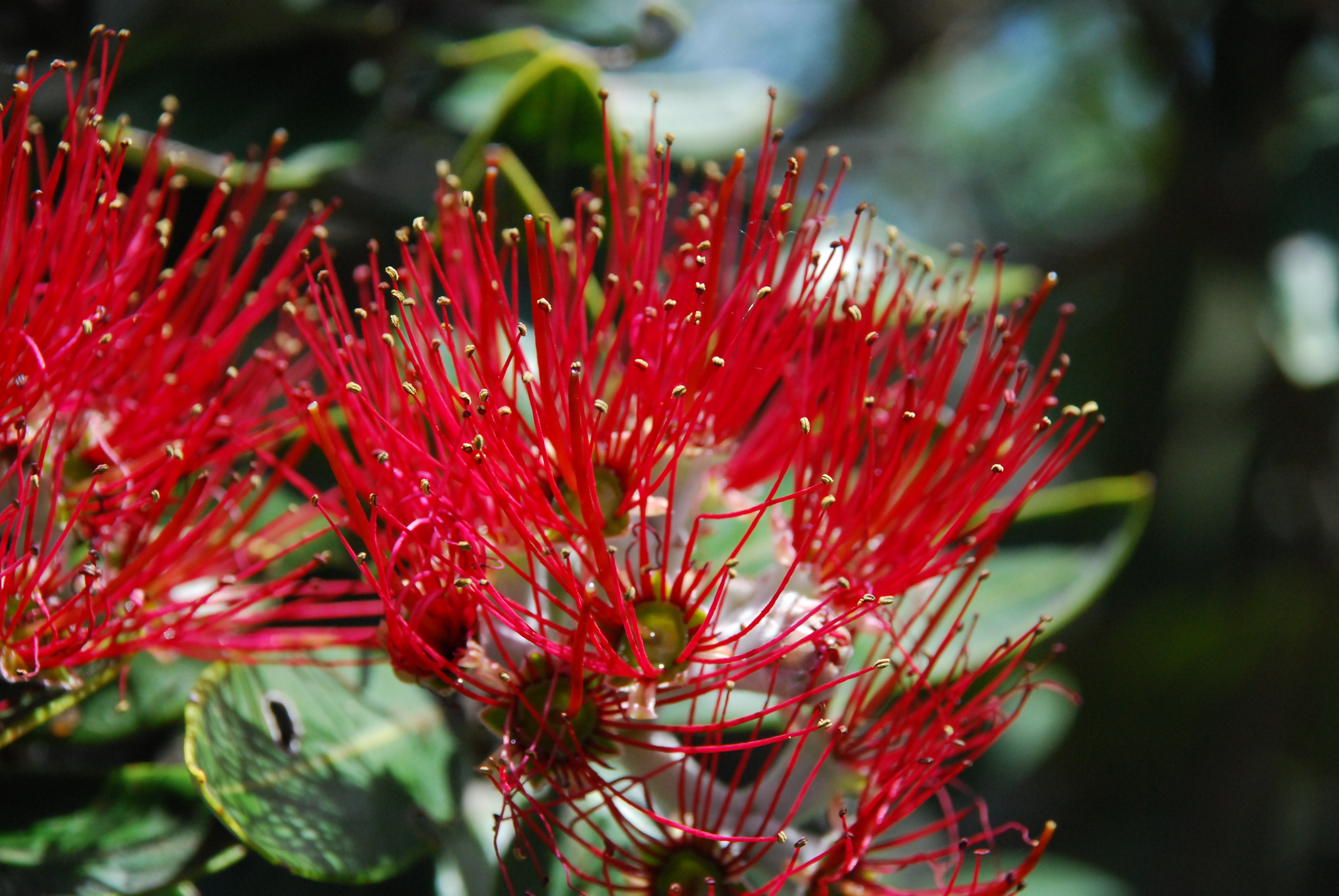 December 2025 Newsletter